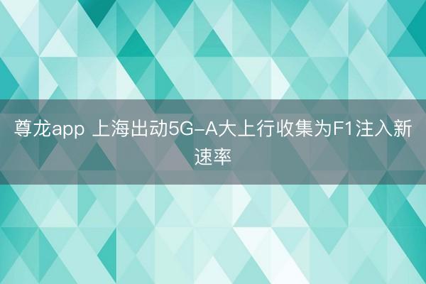 尊龙app 上海出动5G-A大上行收集为F1注入新速率