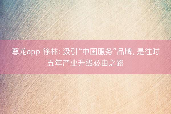 尊龙app 徐林: 汲引“中国服务”品牌, 是往时五年产业升级必由之路