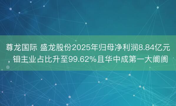 尊龙国际 盛龙股份2025年归母净利润8.84亿元, 钼主业占比升至99.62%且华中成第一大阛阓