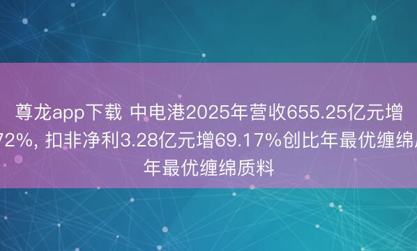 尊龙app下载 中电港2025年营收655.25亿元增34.72%, 扣非净利3.28亿元增69.17%创比年最优缠绵质料